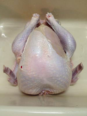 Unwrapped Turkey